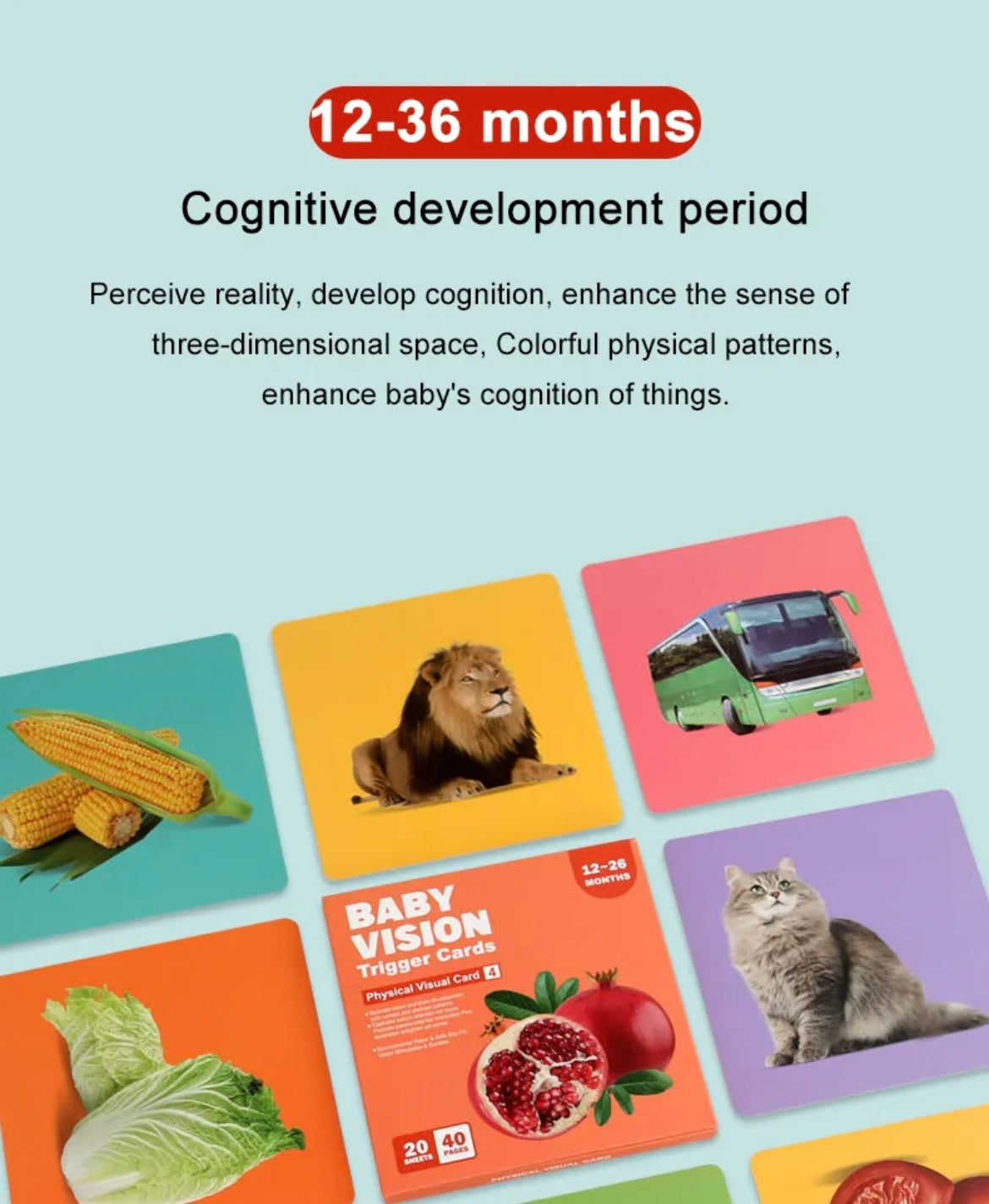 Montessori cards