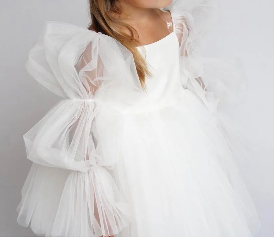 The Dress
