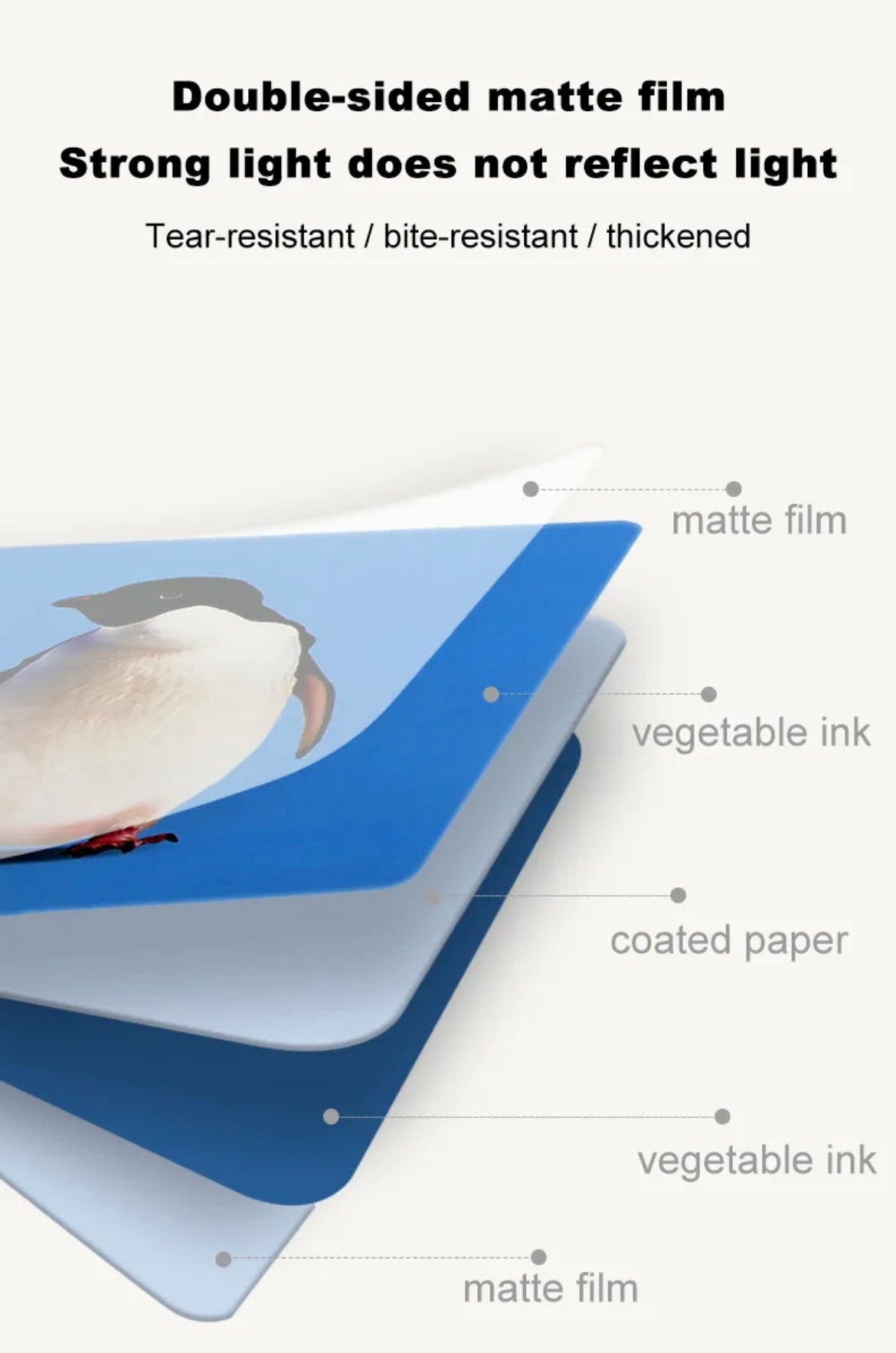 Montessori cards