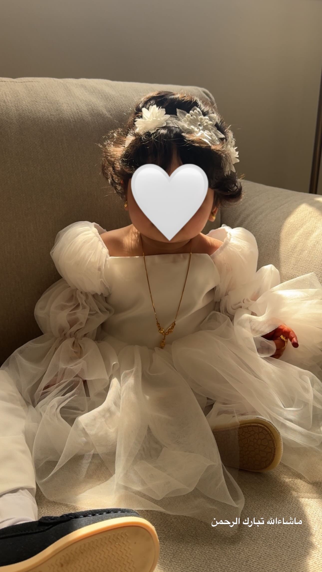 The Dress