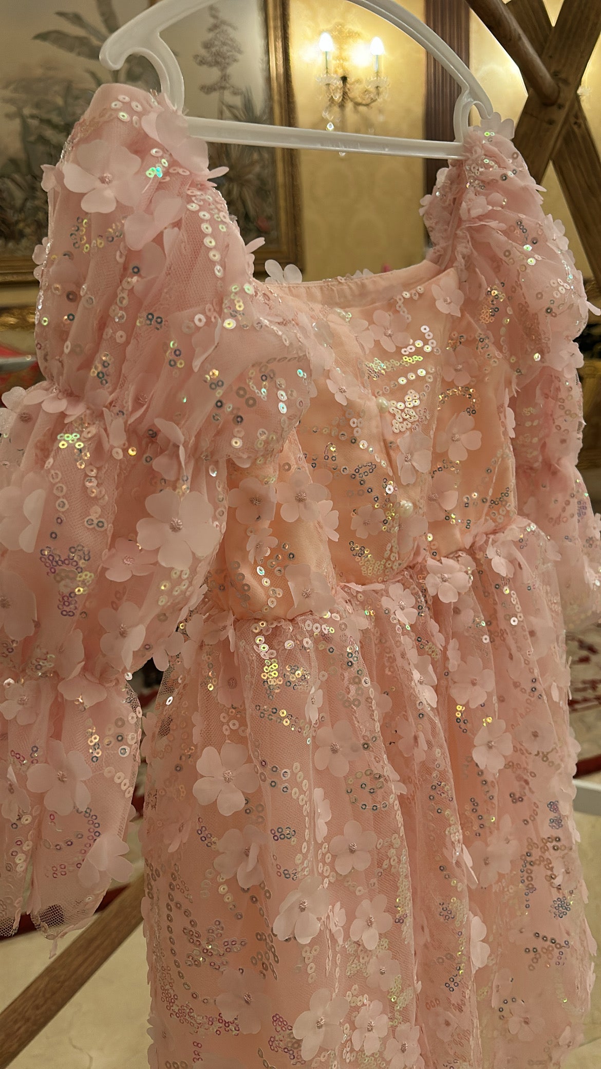 Preorder•Embroidered Dress